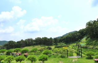 용인수목장만은 고집하는 이유